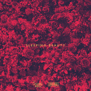 Écouter "Sleeping Beauty" de Epik High