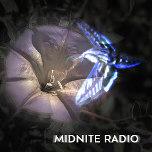 ソフビ ミッドナイトレディオ NIGHT MID Otacream RADIO