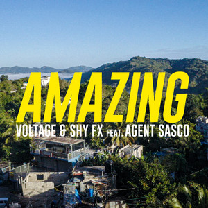 Écouter "Amazing" de Shy FX