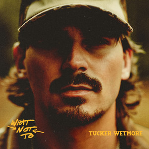 What Not To [2LP] Vinyl - Tucker Wetmore Vinyl Records | Vinyl
