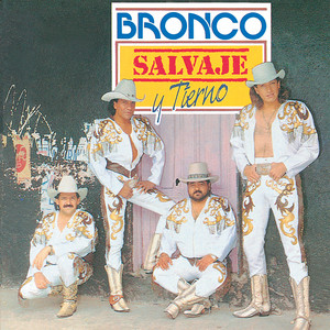 Écouter "Se Vende un Corazón" de Bronco