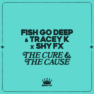 The Cure & The Cause album art