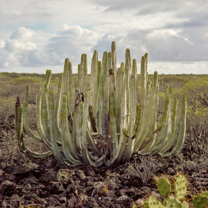 Écouter "SOON" de BewhY