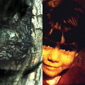 Écouter "Banquet" de Yann Tiersen