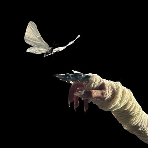 Écouter "Sweet Disposition - ARTBAT Remix" de The Temper Trap