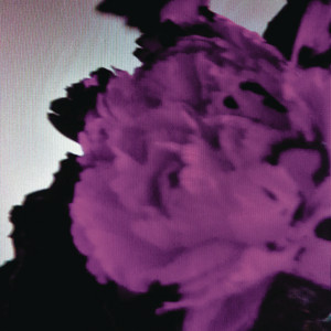 Écouter "All of Me - Tiësto's Birthday Treatment Remix" de John Legend