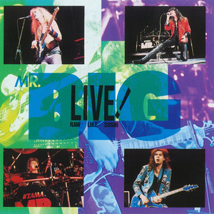 Live! Raw Like Sushi / MR. BIG (1990) - TASHINAMI MUSIC