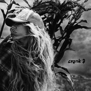 Review: "Crank 2"