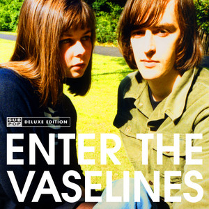 The Vaselines: Enter the Vase Tracks & Reviews | AllMusic