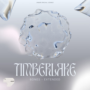 Timberlake (Hayit Murat Remix) artwork