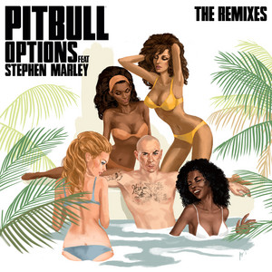 Écouter "Options- James Hype Remix" de James Hype