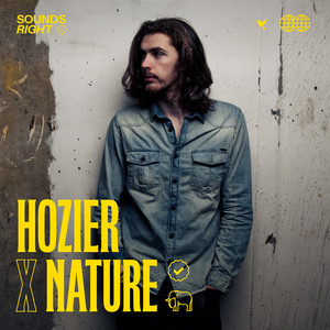 Cover artwork for Like Real People Do by Hozier