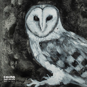 Wake Up Calls — cosmo-sheldrake