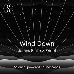 James Blakeが睡眠をサポートする音楽『Wind Down』、ライヴ音源を収録