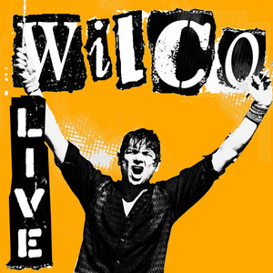 Wilco Live (Orange) | Axl's Catch Groove