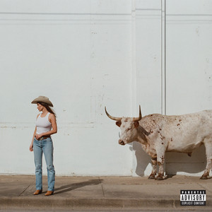 Cover artwork for Horses and Divorces by Kacey Musgraves