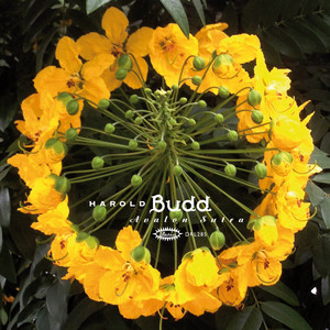 Écouter "A Walk in the Park with Nancy (In Memory) - 2013 Remaster" de Harold Budd