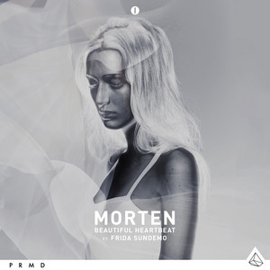 Écouter "Beautiful Heartbeat - Nine Lives Remix" de morten