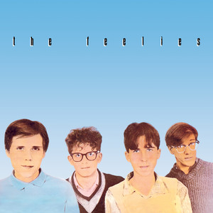 The Feelies - Crazy Rhythms | Polyvinyl Record Co.