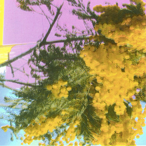 Cover artwork for Into Dust (Still Falling) by Four Tet