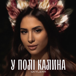 Обкладинка: У полі калина