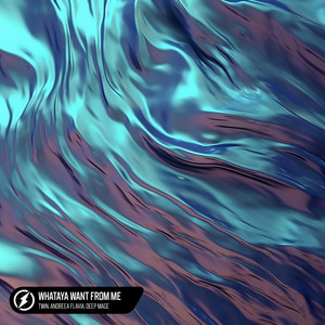 Écouter "Whataya Want From Me" de Andreea Flavia