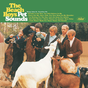 BEACH BOYS / PET SOUNDS (日本プレス盤) [LP - UIJY-75396]：60'S