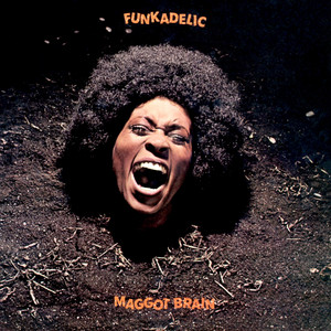 The Genius Of… Maggot Brain by Funkadelic | Guitar.com