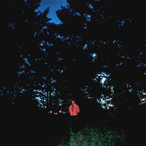 DEVOTION album artwork