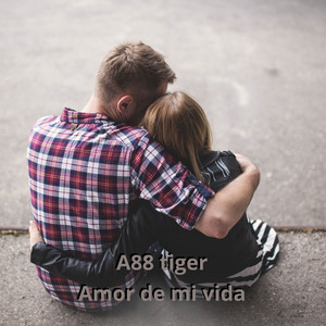 Amor de mi vida artwork