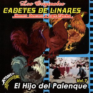 Écouter "Cruz Negra" de Los Cadetes de Linares