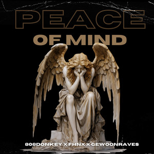 PEACE OF MIND. Beluister op Spotify