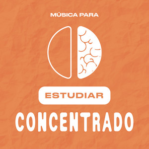 Écouter "Violin Concerto in D Minor, Op. 47: I. Allegro moderato" de Esa-Pekka Salonen