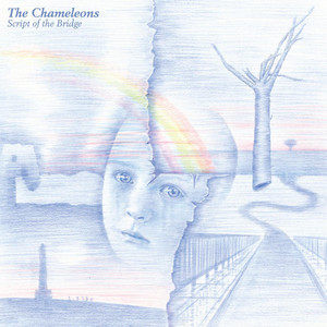 The Chameleons en Chile: El lado B del post-punk - Música y
