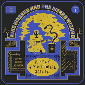 Écouter "Melting" de King Gizzard & the Lizard Wizard