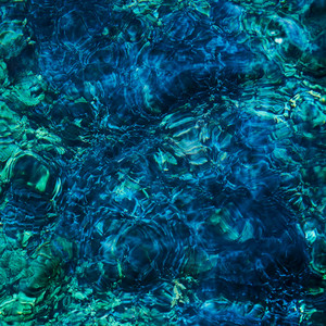 青葉市子 / LUMINESCENT CREATURES / LP | Record CD Online Shop JET