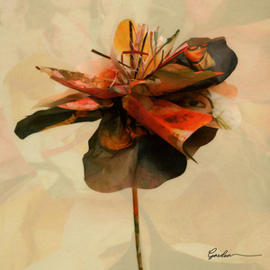 Écouter "COOL" de PENOMECO