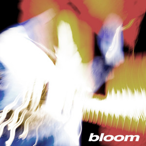 Bloom