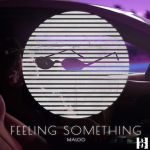 Artwork for Feeling Something by Maloo