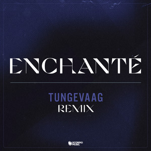 Écouter "Enchanté - Tungevaag Remix" de Willy William