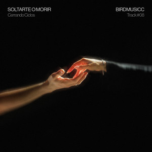 BirdMusicc — Soltarte O Morir
