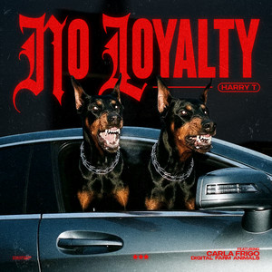 No Loyalty