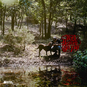 Album Reviews: Zach Bryan, Jenny On Holiday, Feels Like Heaven & more