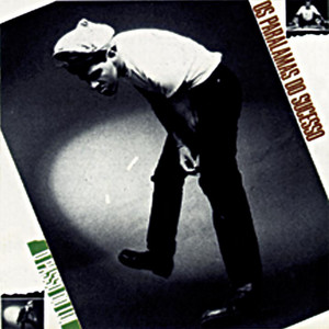 Écouter "Meu Erro" de Os Paralamas do Sucesso