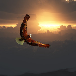 Strong Like an Eagle