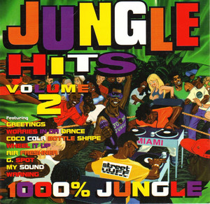 Jungle Hits Volume 2 (1994) ジャングルの名コンピレーション - MRMYX.COM