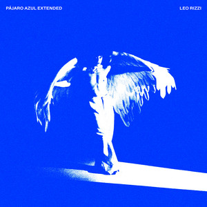 Écouter "rompo esquemas" de DannyLux