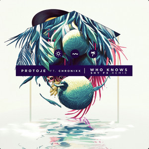 Écouter "Who Knows- SHY FX Remix" de Shy FX