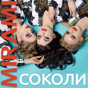 Обкладинка: Соколи