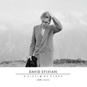 ディスクレビュー：David Sylvianの『Manafon』｜鈴木凹